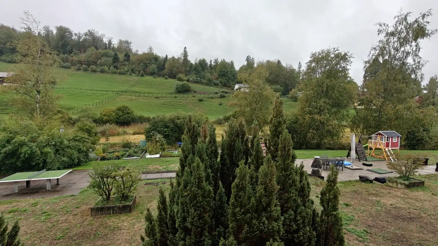 Apartment for rent - 8636 Wald ZH - Photo 4