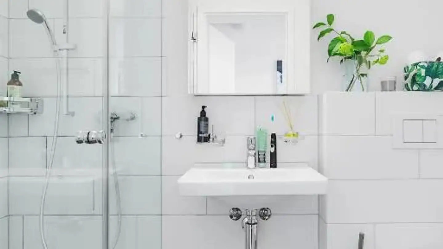 Wohnung mieten - Binzmühlestrasse, 8050 Zürich - Foto 2