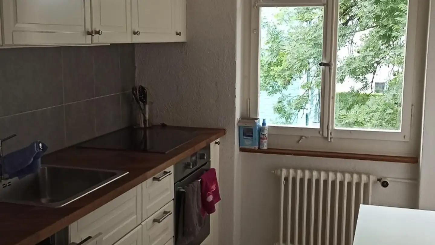 Chambre à louer - Seebacherstrasse 14, 8052 Zürich - Photo 2