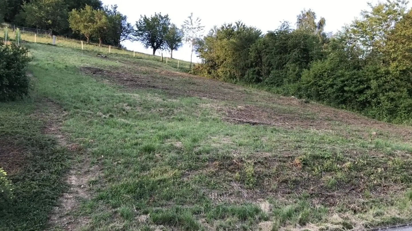 Constructible plot for sale - 4467 Rothenfluh - Photo 4