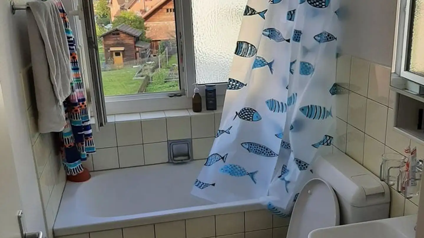 Appartement à louer - Breitenweg 12, 8910 Affoltern am Albis - Photo 3