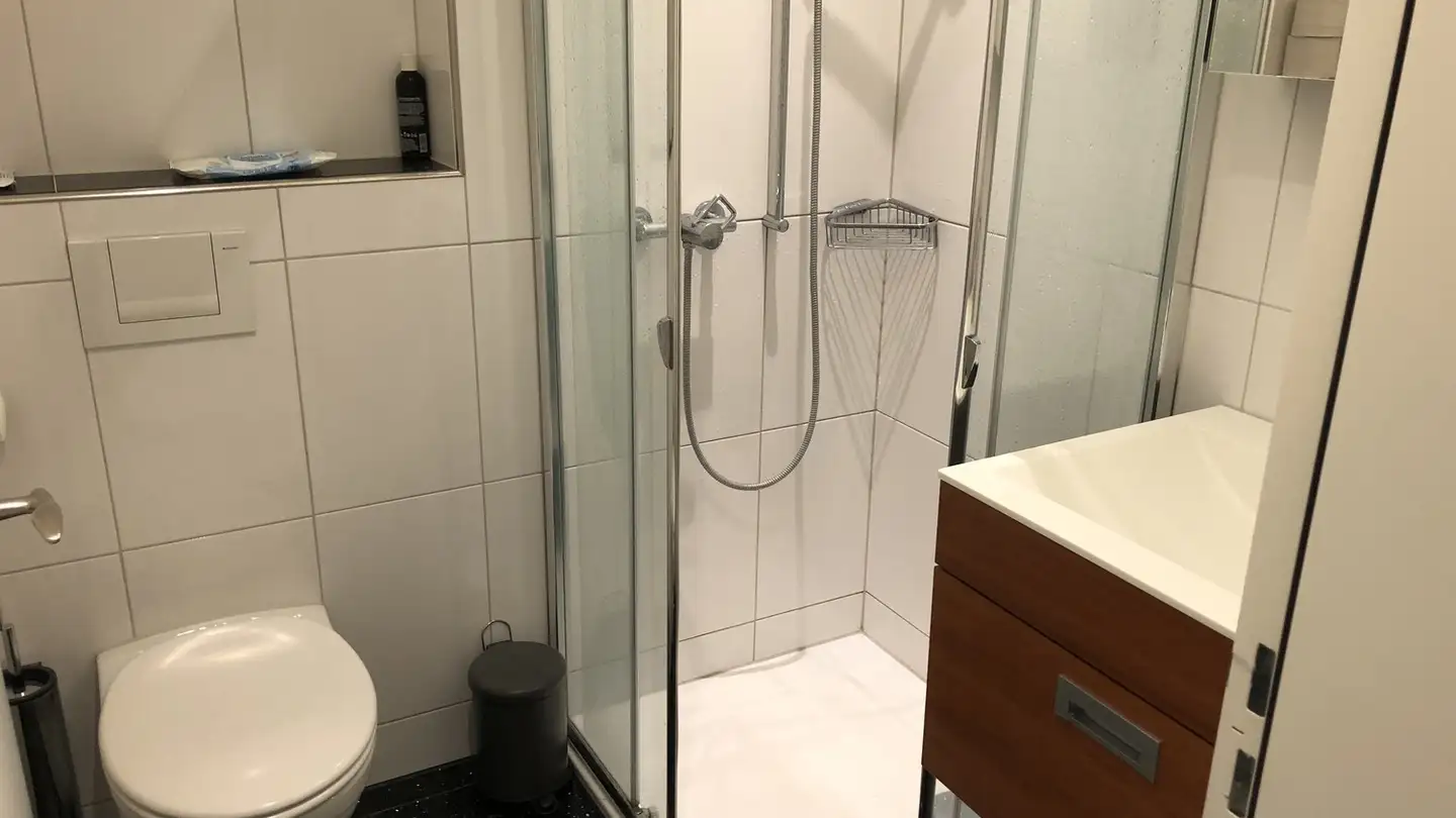 Chambre à louer - Birmensdorferstrasse 37, 8953 Dietikon - Photo 4