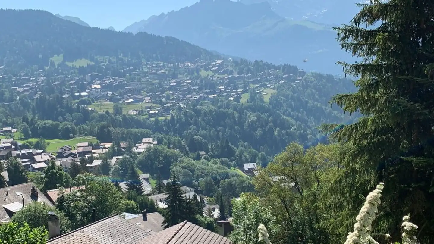 Appartamento ammobiliato in affitto - Route Des Ecovets, 1867 Panex - Photo 3