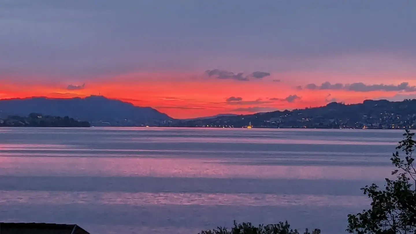 Appartement à louer - 8806 Bäch SZ