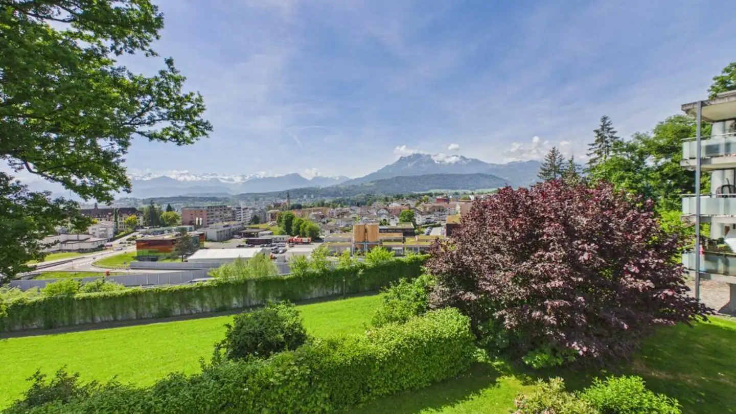Appartamento in vendita - Hohrütistrasse, 6020 Emmenbrücke - Foto 4