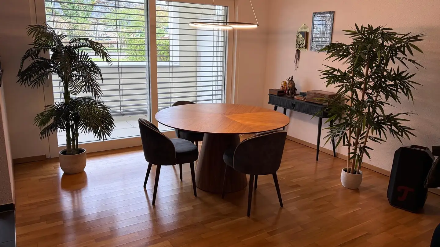 Apartment for rent - 8112 Otelfingen