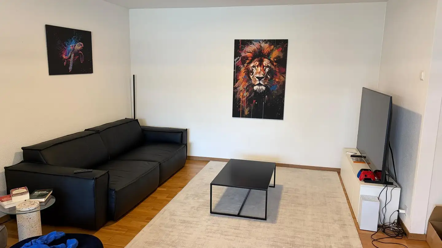Apartment for rent - 8112 Otelfingen - Photo 2
