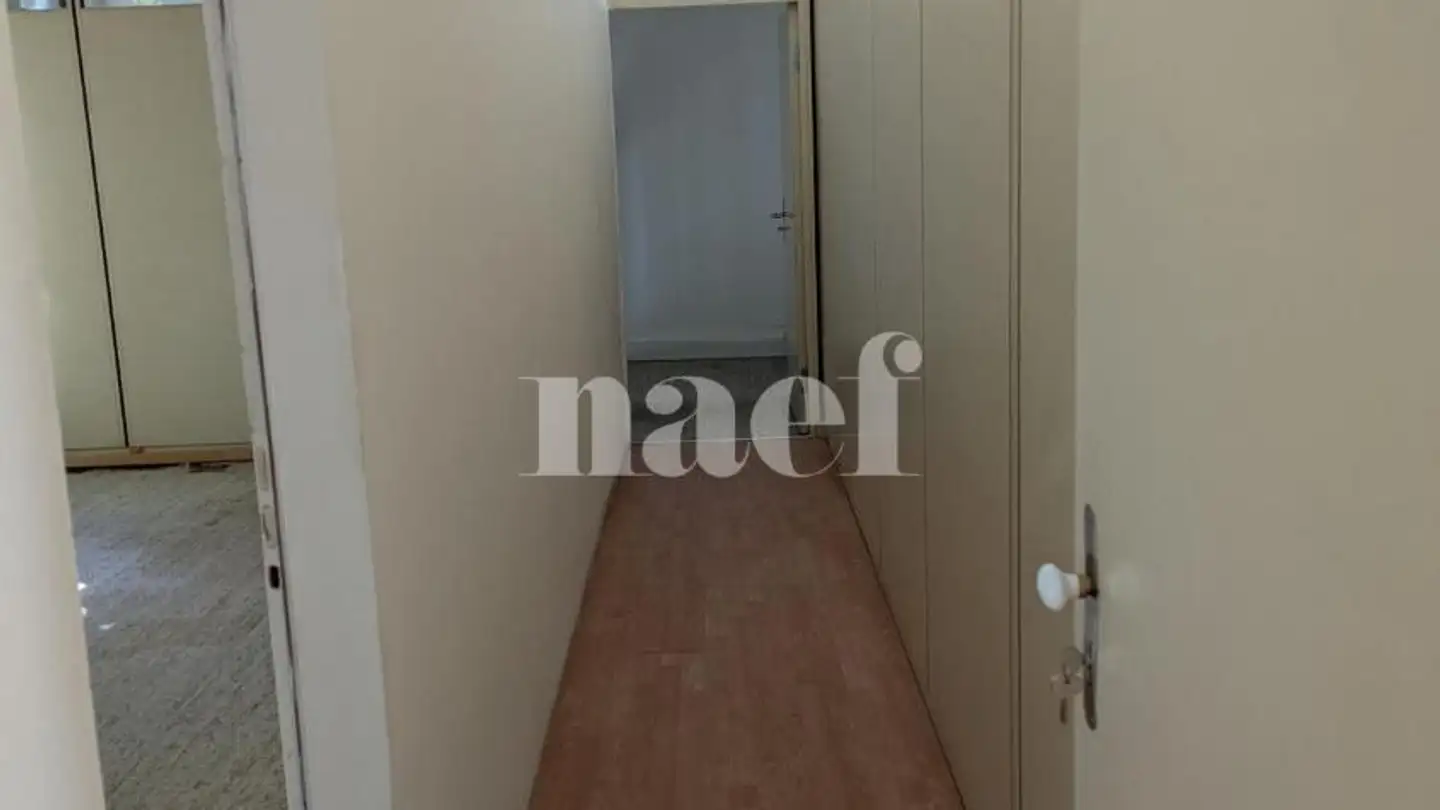 Commercial for rent - Chemin Du Repos 6, 1213 Petit-Lancy - Photo 4