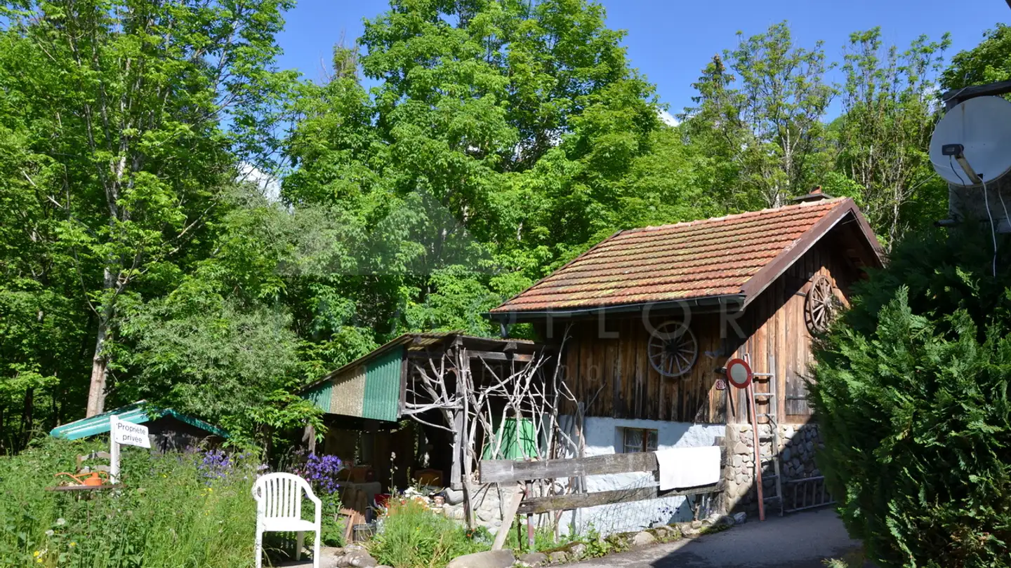 Casa singola in vendita - Route De Gérignoz, 1660 Château-d'Oex - Photo 2