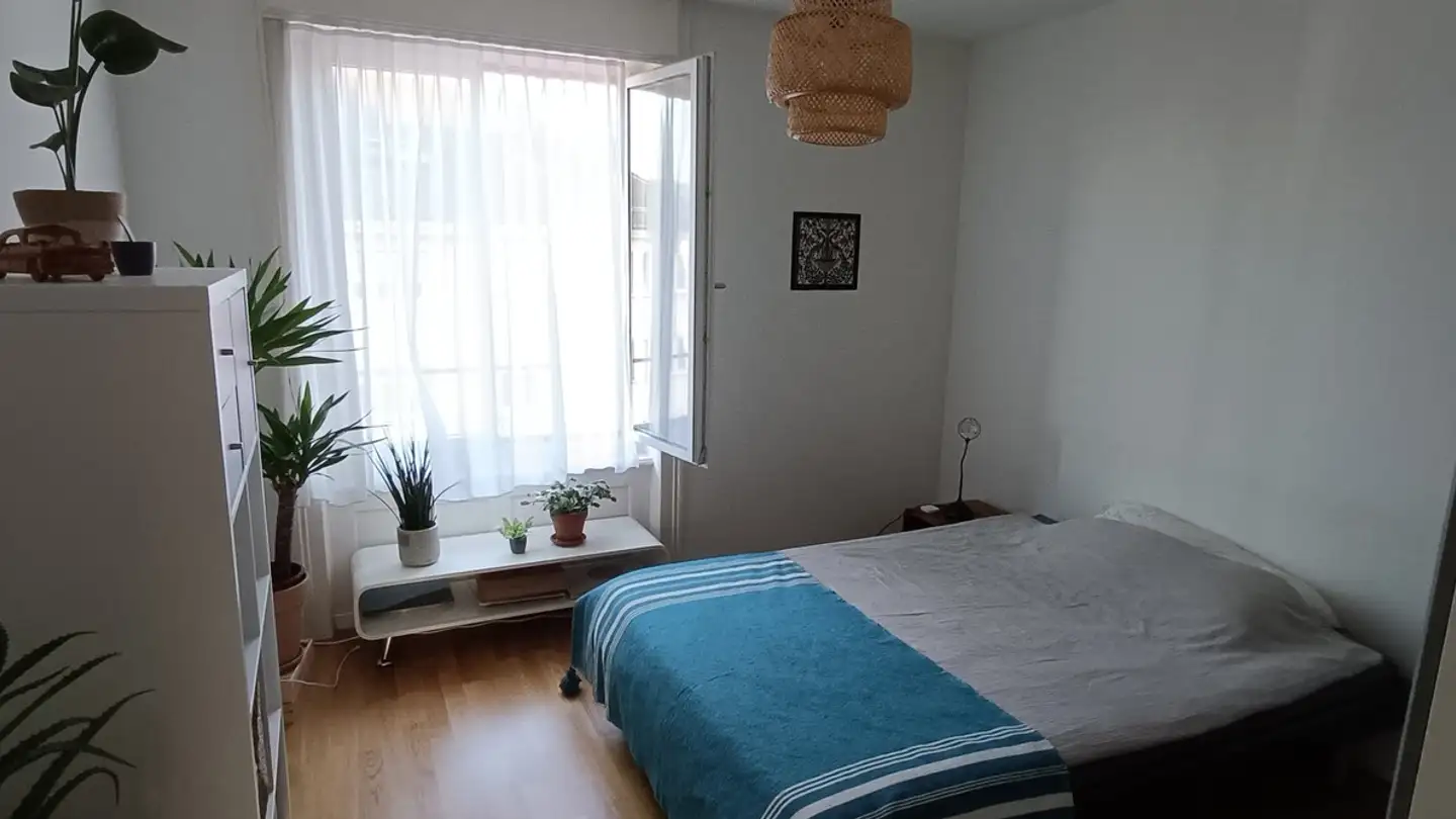 Appartement à louer - Hohlstrasse 355, 8004 Zürich - Photo 3