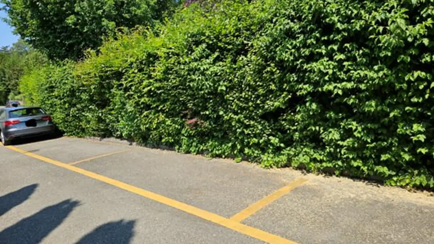 Outdoor parking space for rent - Im Mooshof 2, 8404 Winterthur - Photo 2