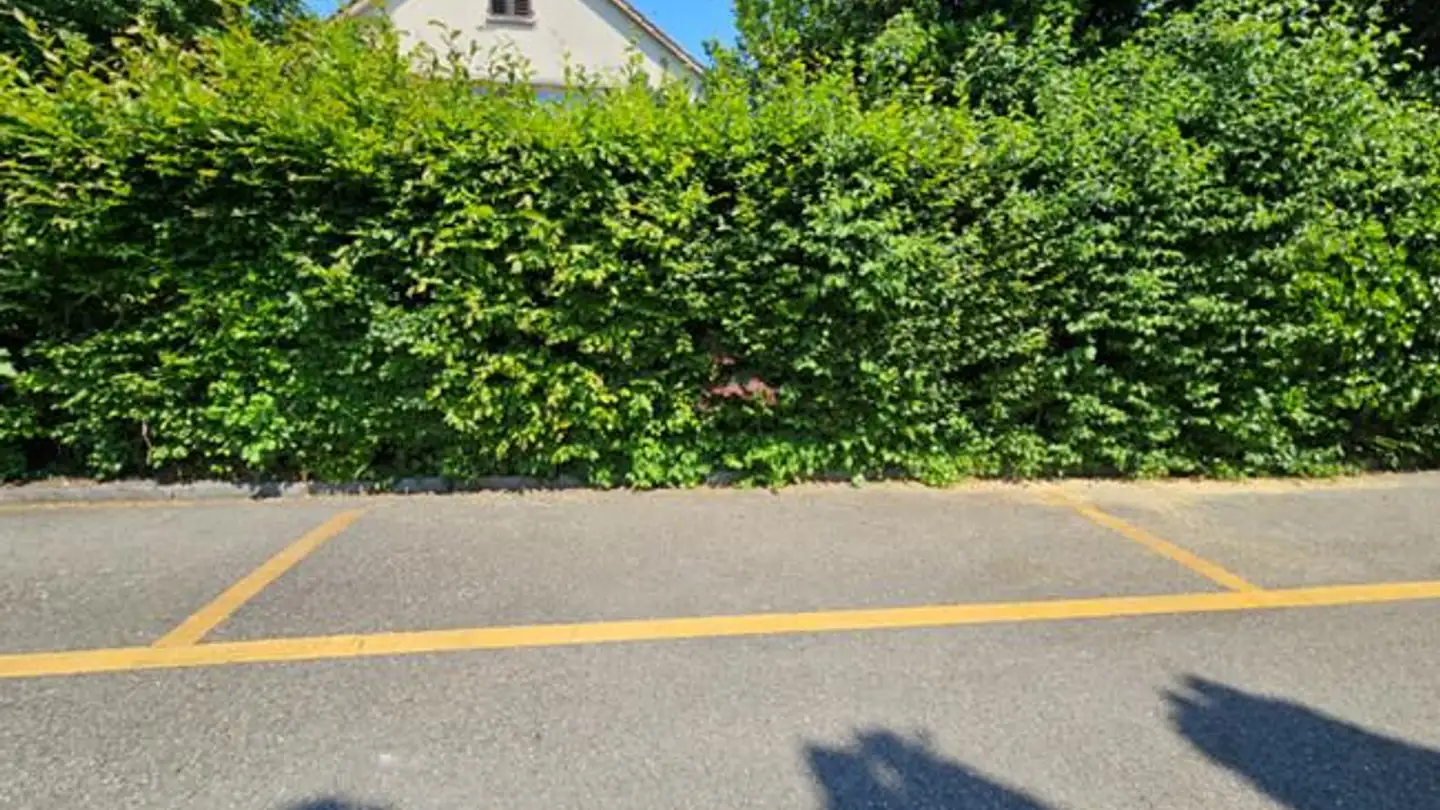 Outdoor parking space for rent - Im Mooshof 2, 8404 Winterthur - Photo 3