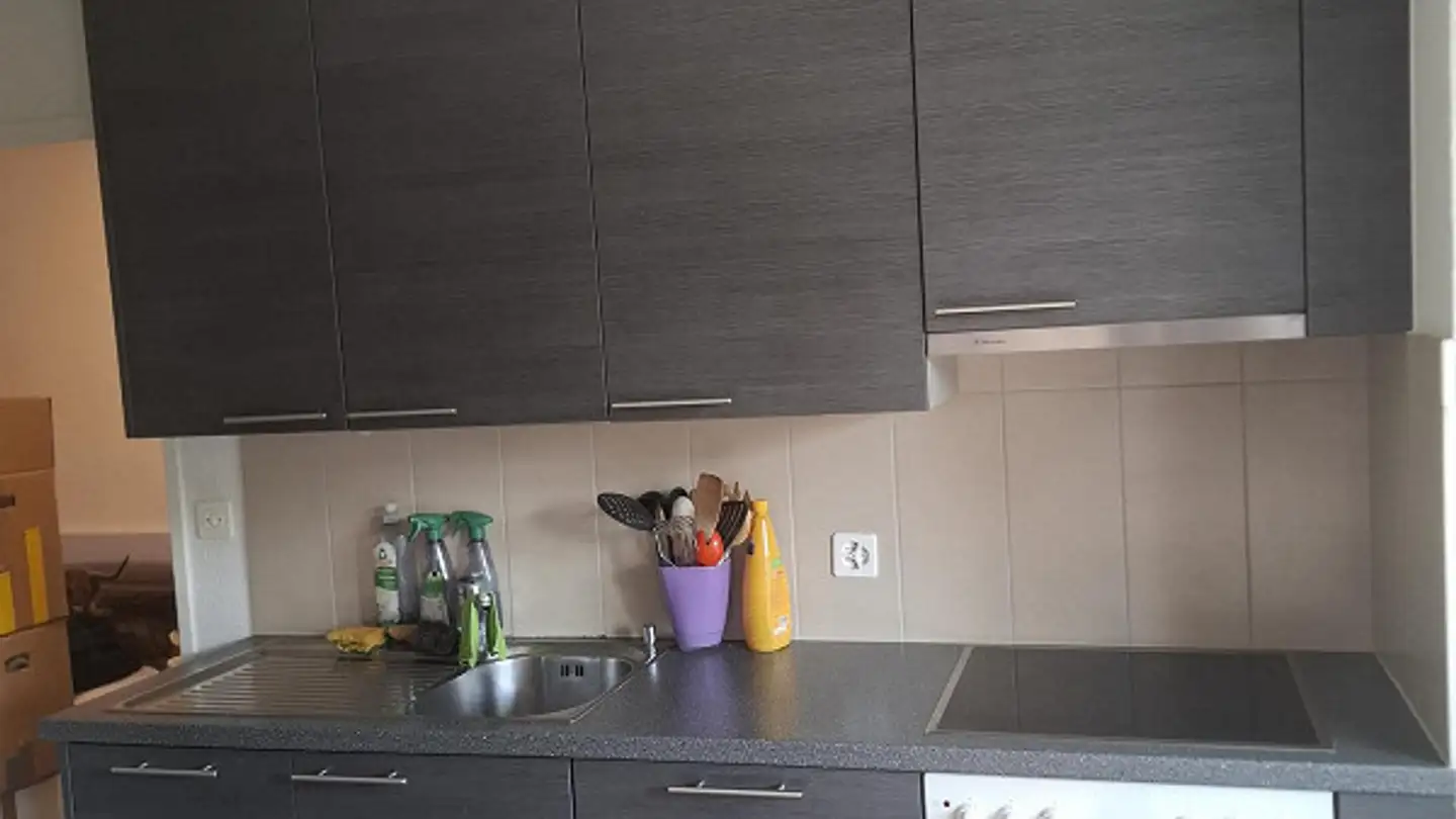 Apartment for rent - Gaissbergstrasse 52, 8280 Kreuzlingen - Photo 2