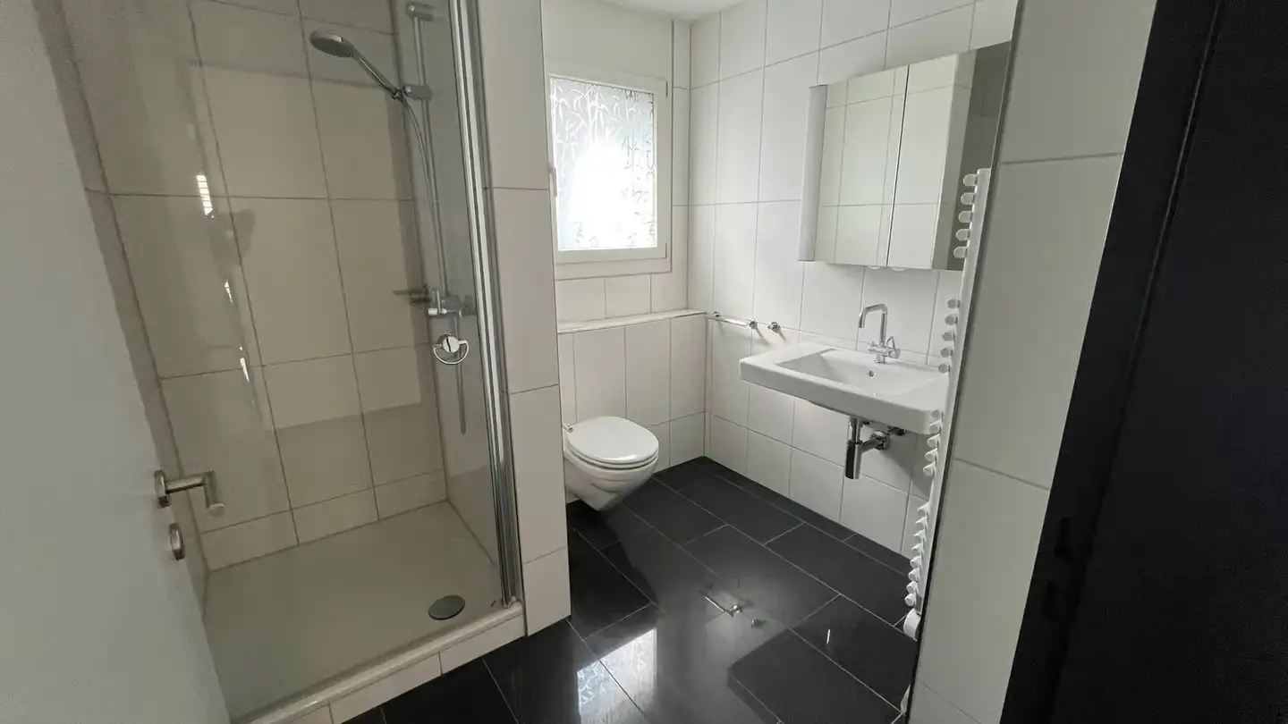 Appartamento in affitto - Ringwiesenstrasse 4, 8600 Dübendorf - Foto 4