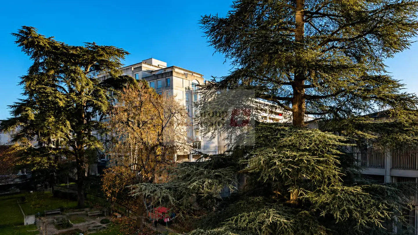 Appartamento in vendita - 1206 Genève