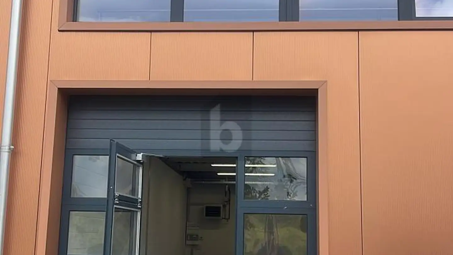 Factory for rent - 1023 Crissier