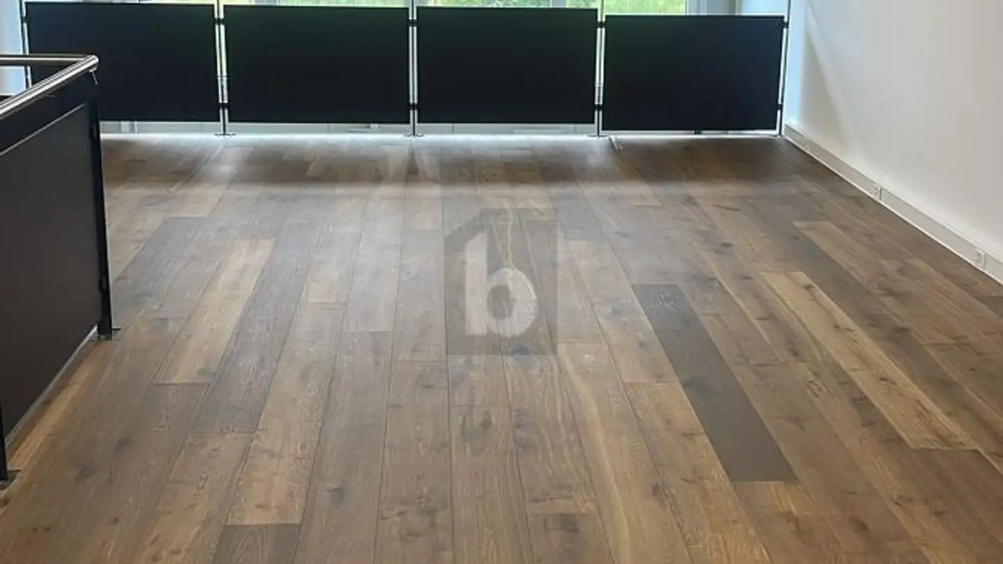 Factory for rent - 1023 Crissier - Photo 4