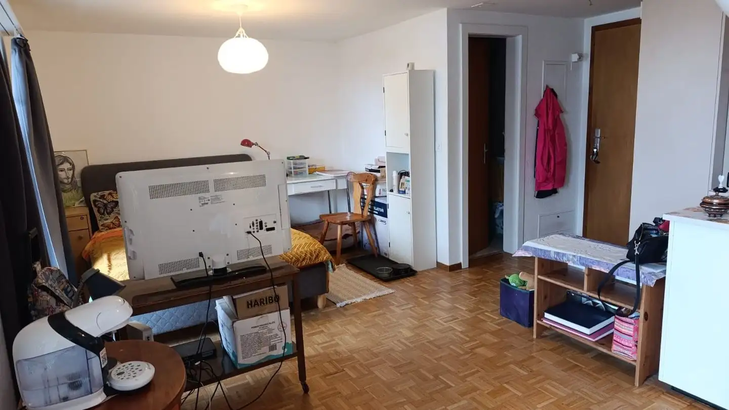 Studio in affitto - Ruelle Du Bordet 13, 1470 Estavayer-le-Lac - Foto 3