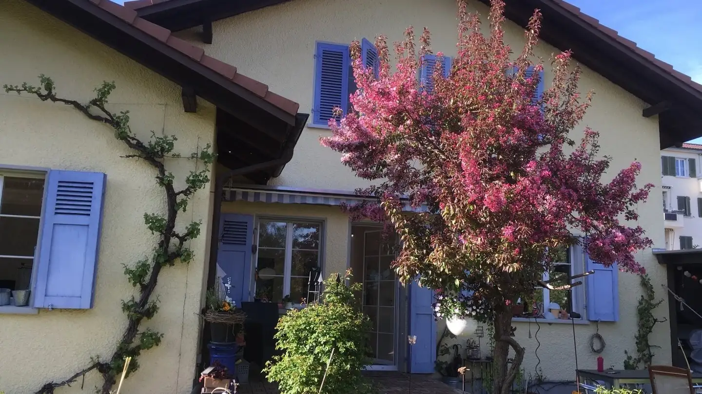 Stanza singola in affitto - 3052 Zollikofen - Foto 3