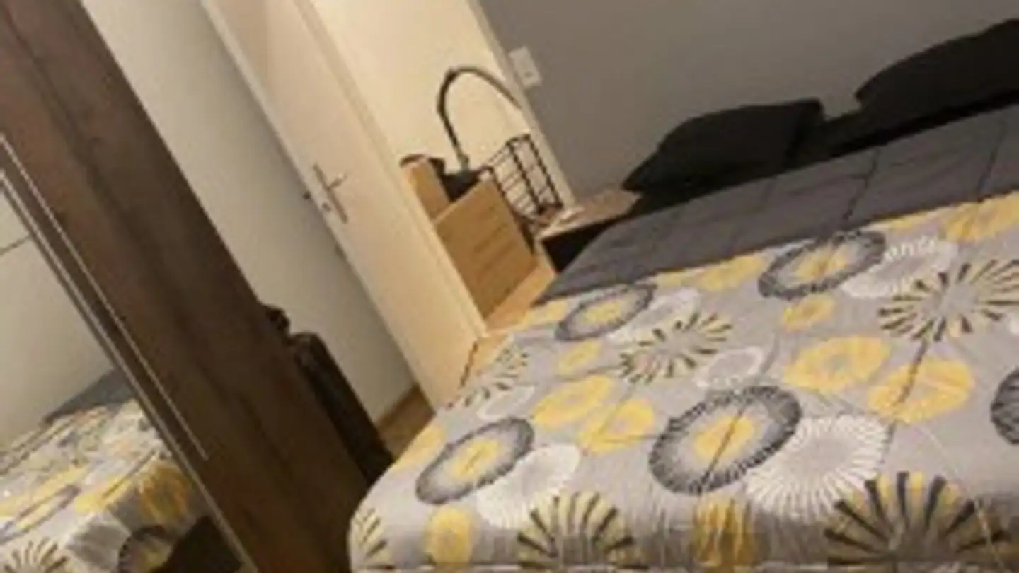 Appartement à louer - Passerelle Du Lignon, 1219 Le Lignon - Photo 3