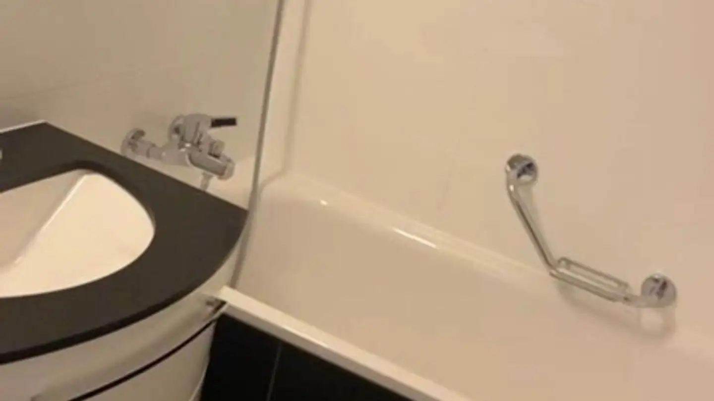 Appartement à louer - Passerelle Du Lignon, 1219 Le Lignon - Photo 4