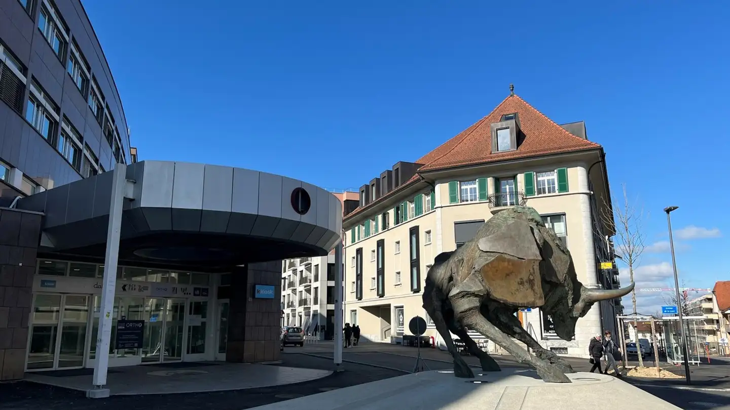 Loft à louer - Rue De La Lécheretta 1, 1630 Bulle - Photo 2