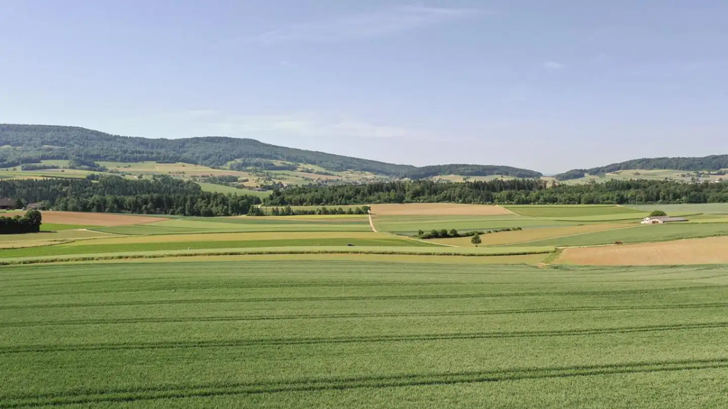 Bauland kaufen - 5425 Schneisingen