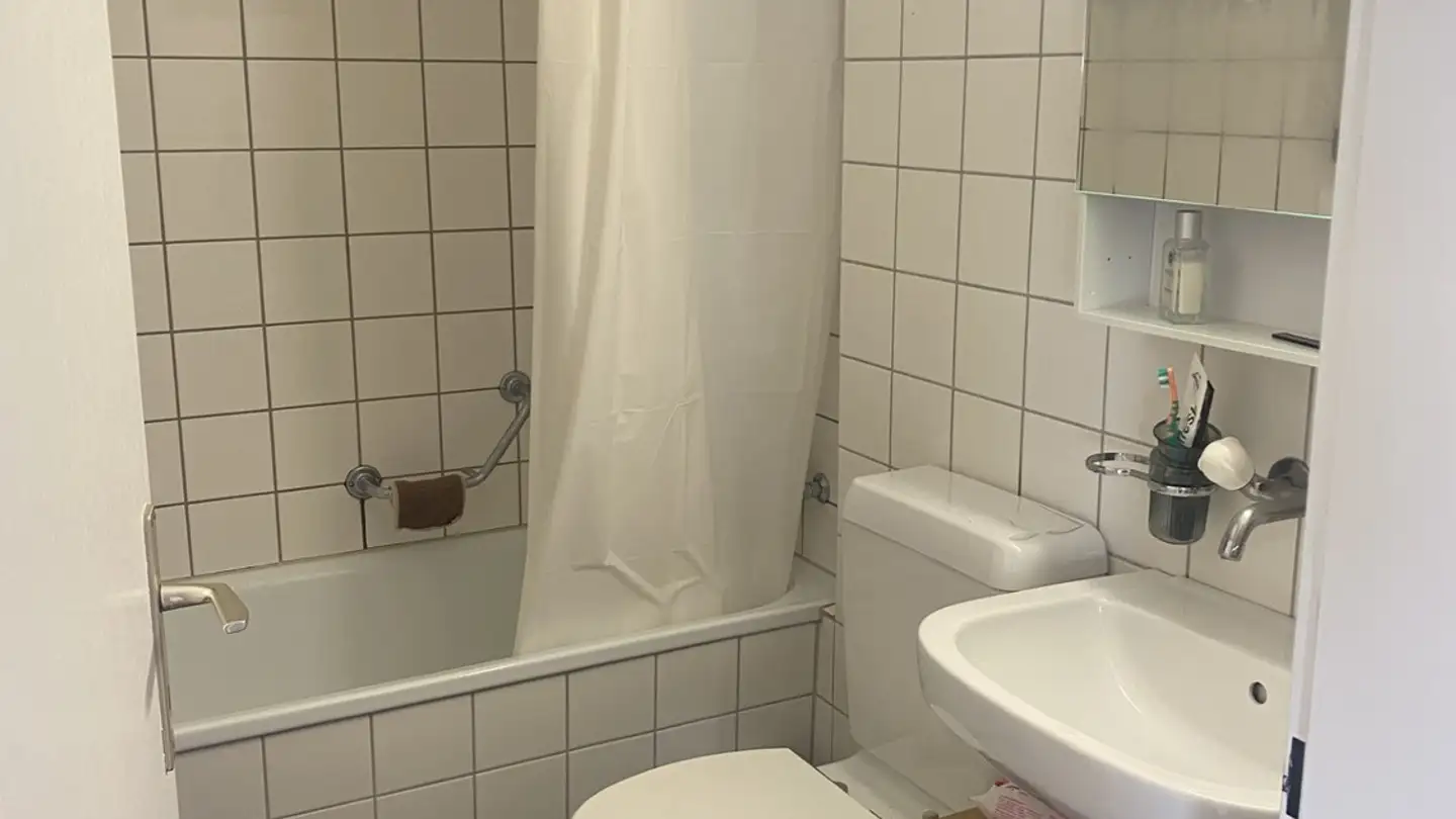 Appartamento in affitto - Lindenstrasse 19, 8400 Winterthur - Foto 4