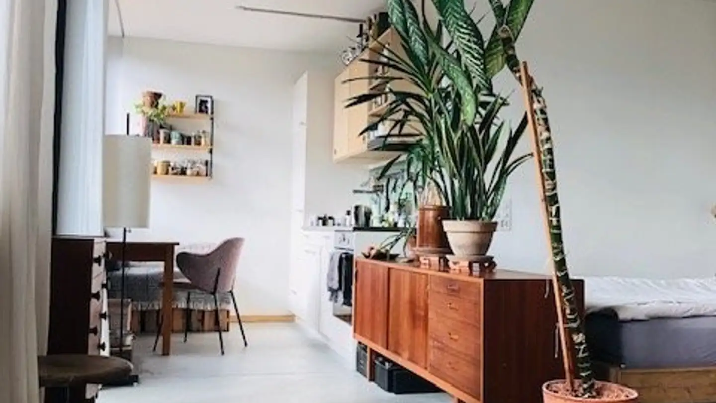 Appartamento in affitto - Sägestrasse, 3097 Liebefeld - Photo 3