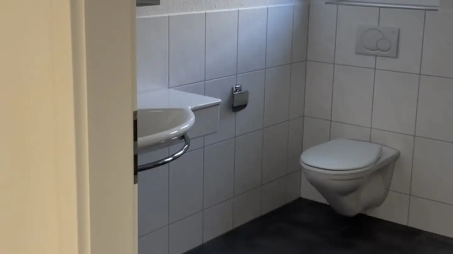 Gewerbe mieten - Unterbühlenstrasse 5, 8610 Uster - Foto 2