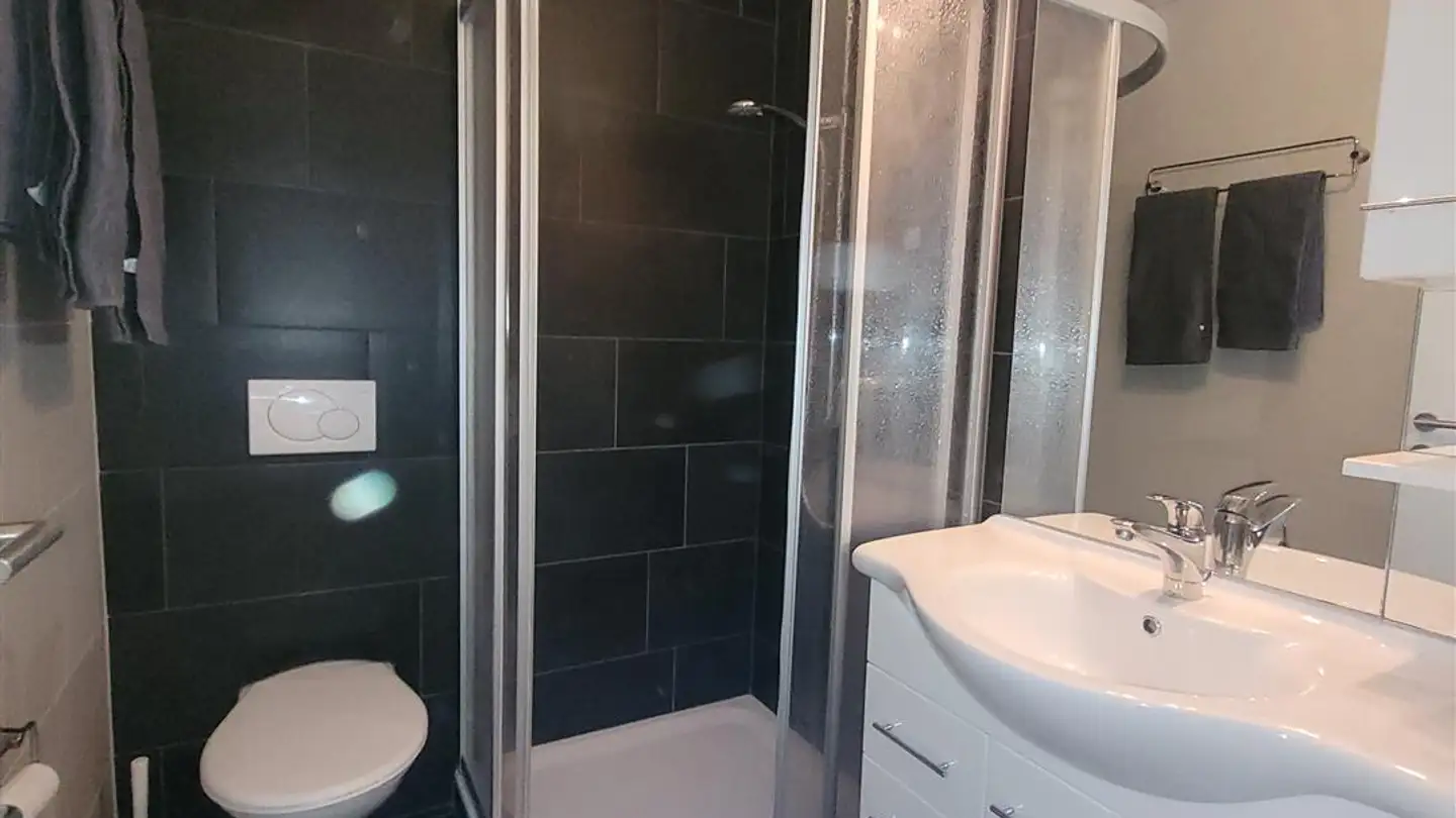 Möblierte Wohnung mieten - Rue De Montbrillant 21, 1201 Genève - Foto 3