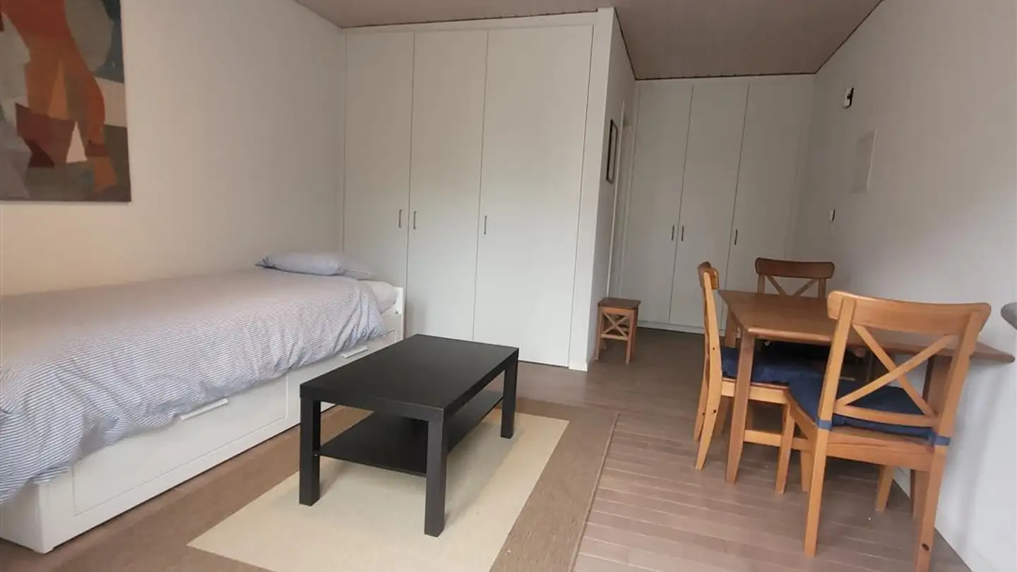 Möblierte Wohnung mieten - Rue De Montbrillant 21, 1201 Genève