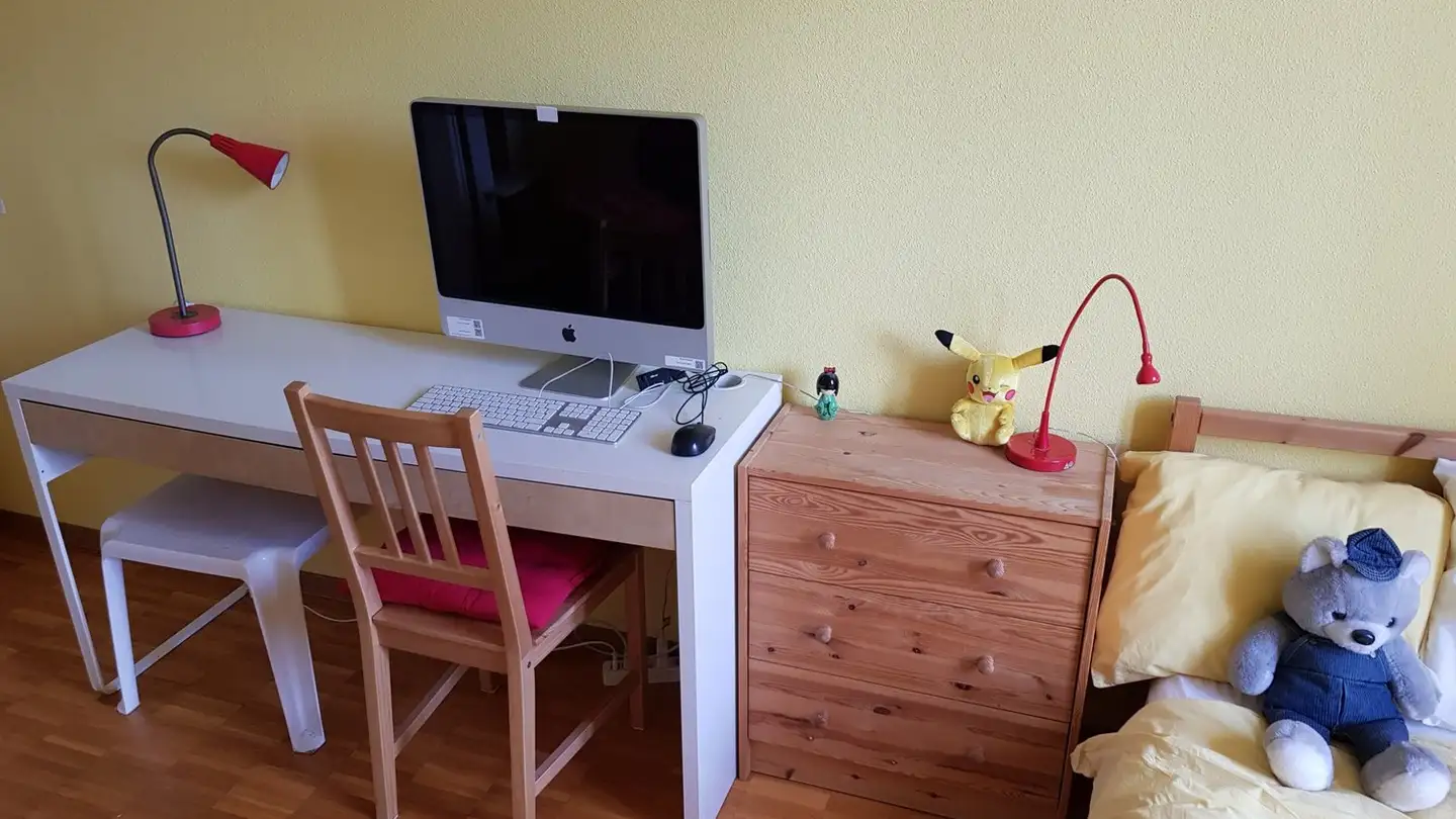 Single room for rent - Chemin De Carabot, 1233 Bernex - Photo 3