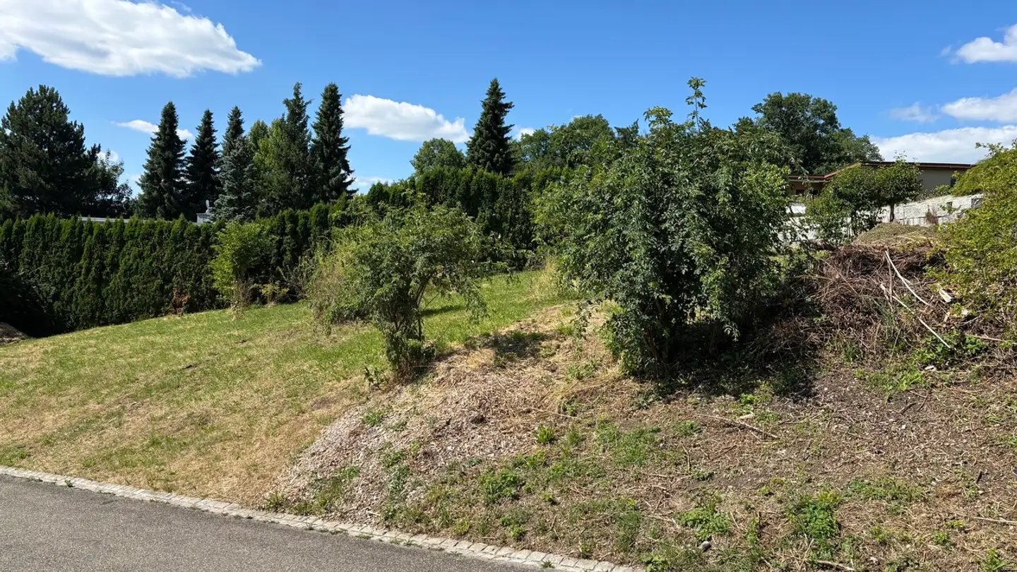 Terreno edificabile in vendita - Leisibüel, 8484 Weisslingen - Photo 2