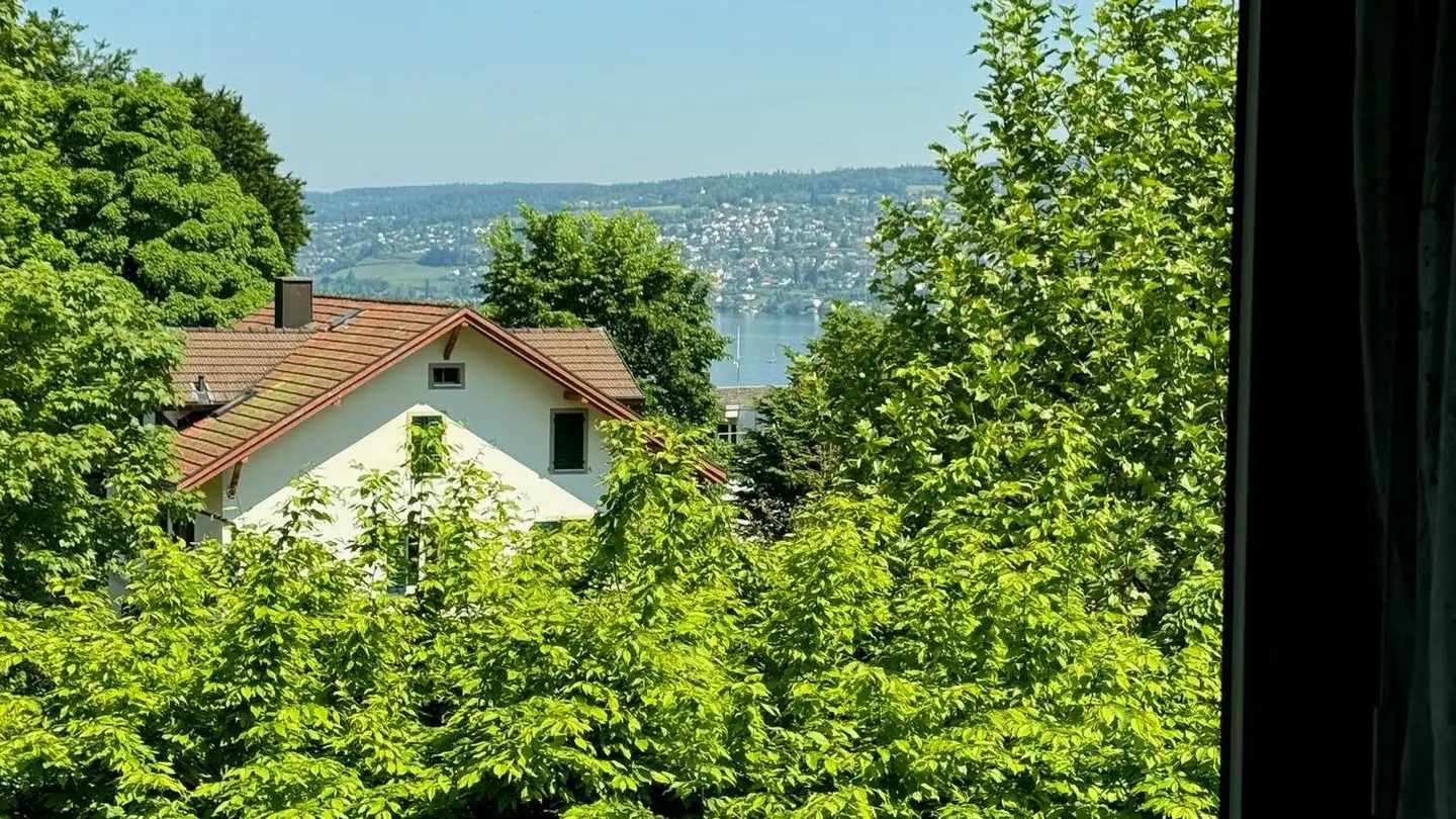 Appartamento in vendita - Aubrigstrasse 11, 8810 Horgen - Foto 3