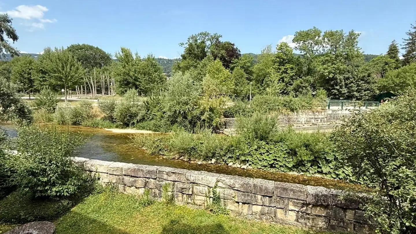 Wohnung mieten - Rue Du Moulin / Mühlestrasse 36, 2504 Biel/Bienne