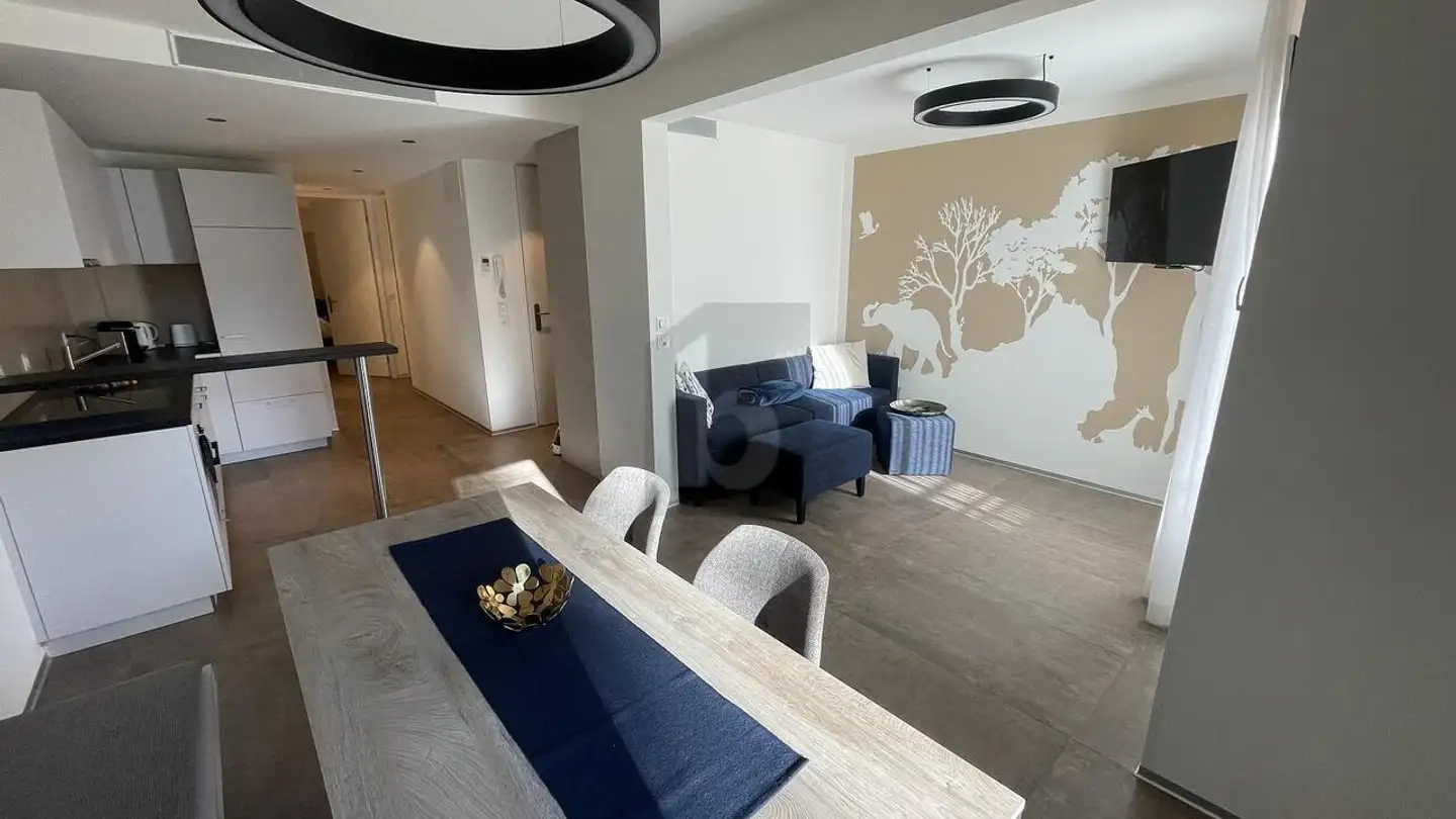 Möblierte Wohnung mieten - 4054 Basel