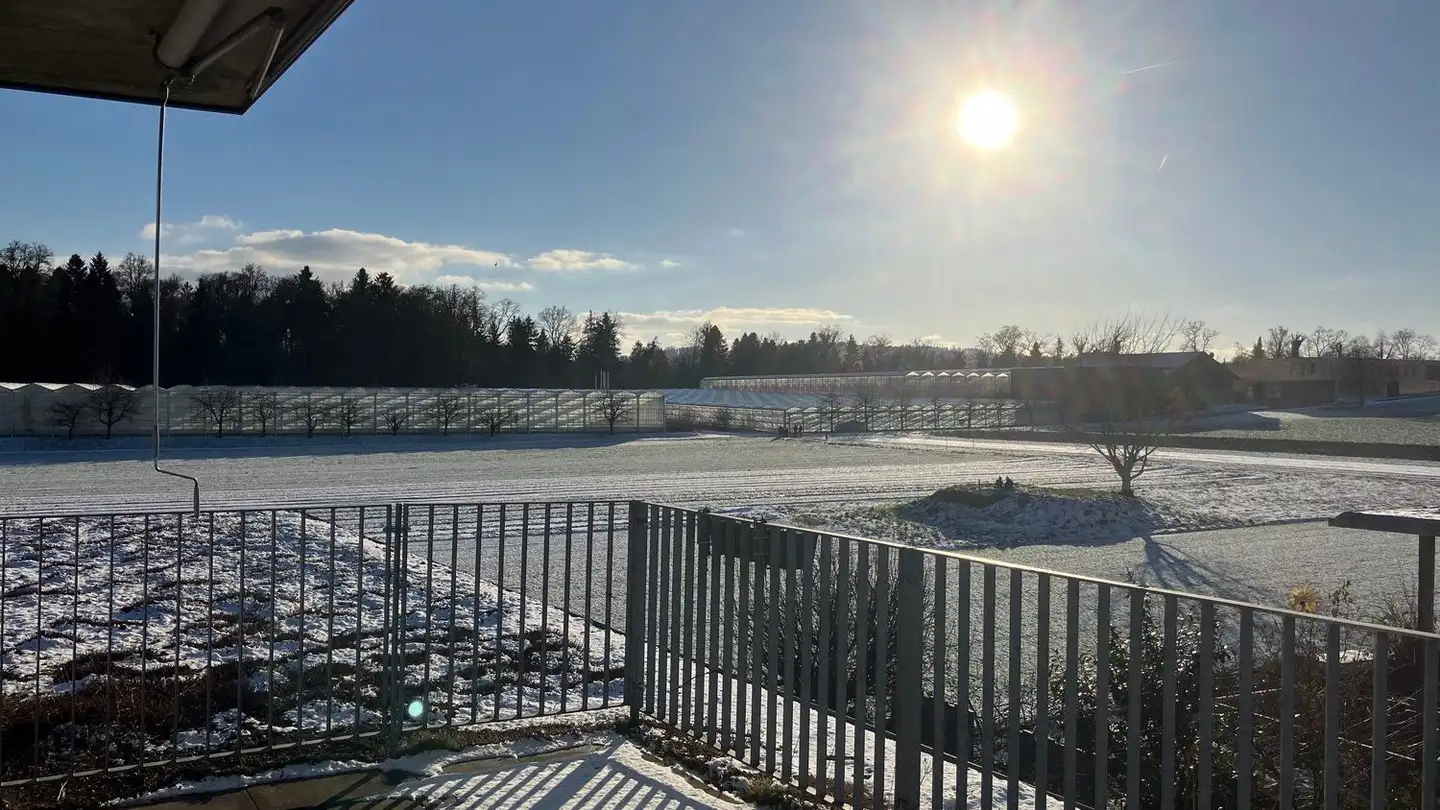 Reihenhaus kaufen - Im Röthler 24a, 5406 Rütihof