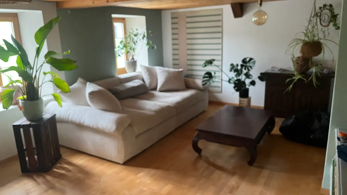 Appartamento in affitto - 3700 Spiez - Foto 4