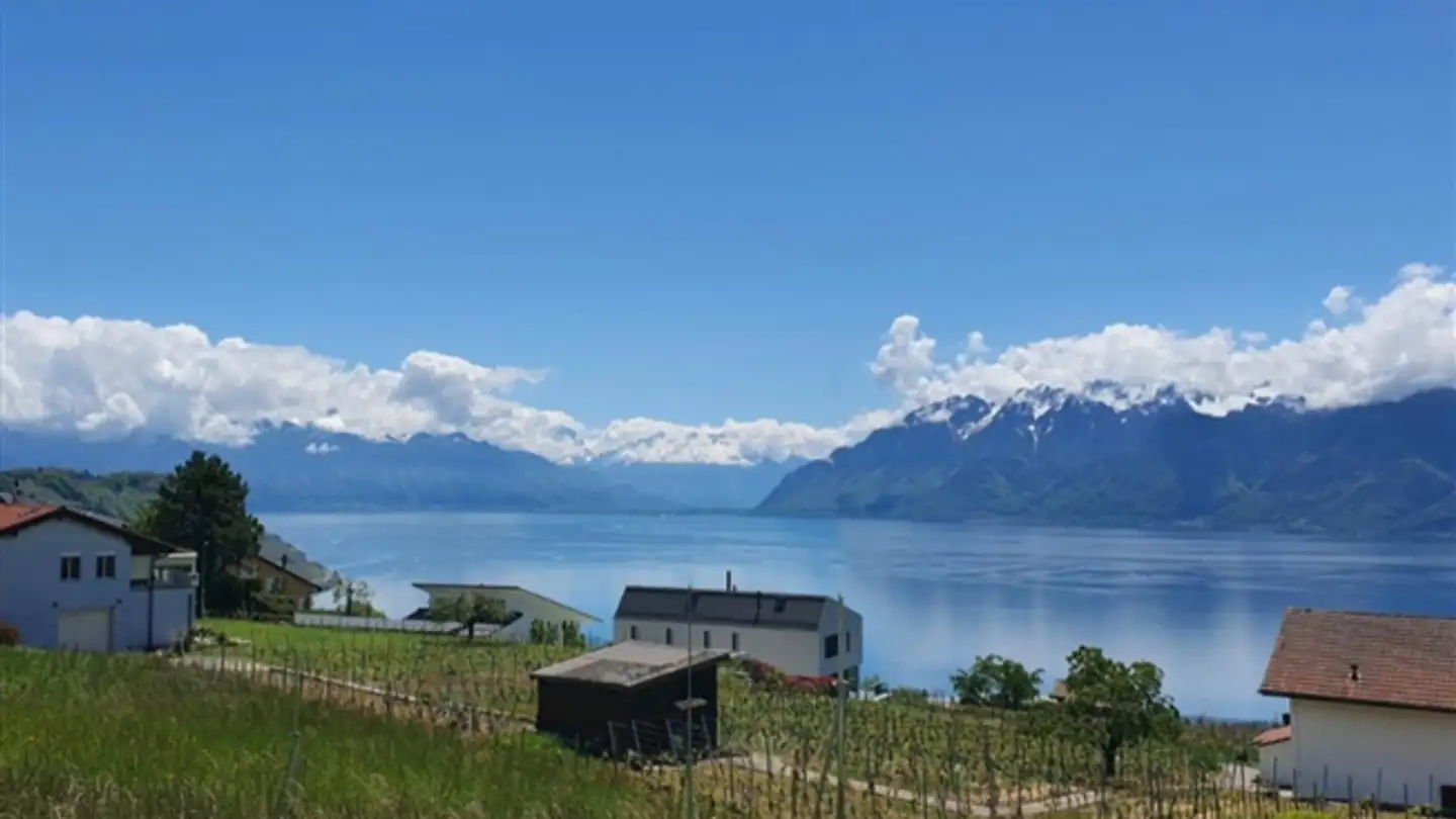 Penthouse kaufen - 1091 Grandvaux