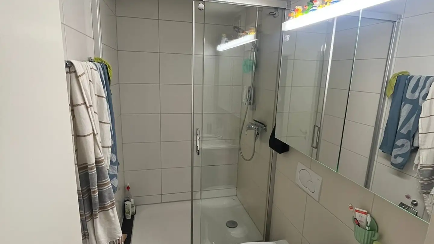 Wohnung mieten - 8046 Zürich - Foto 4