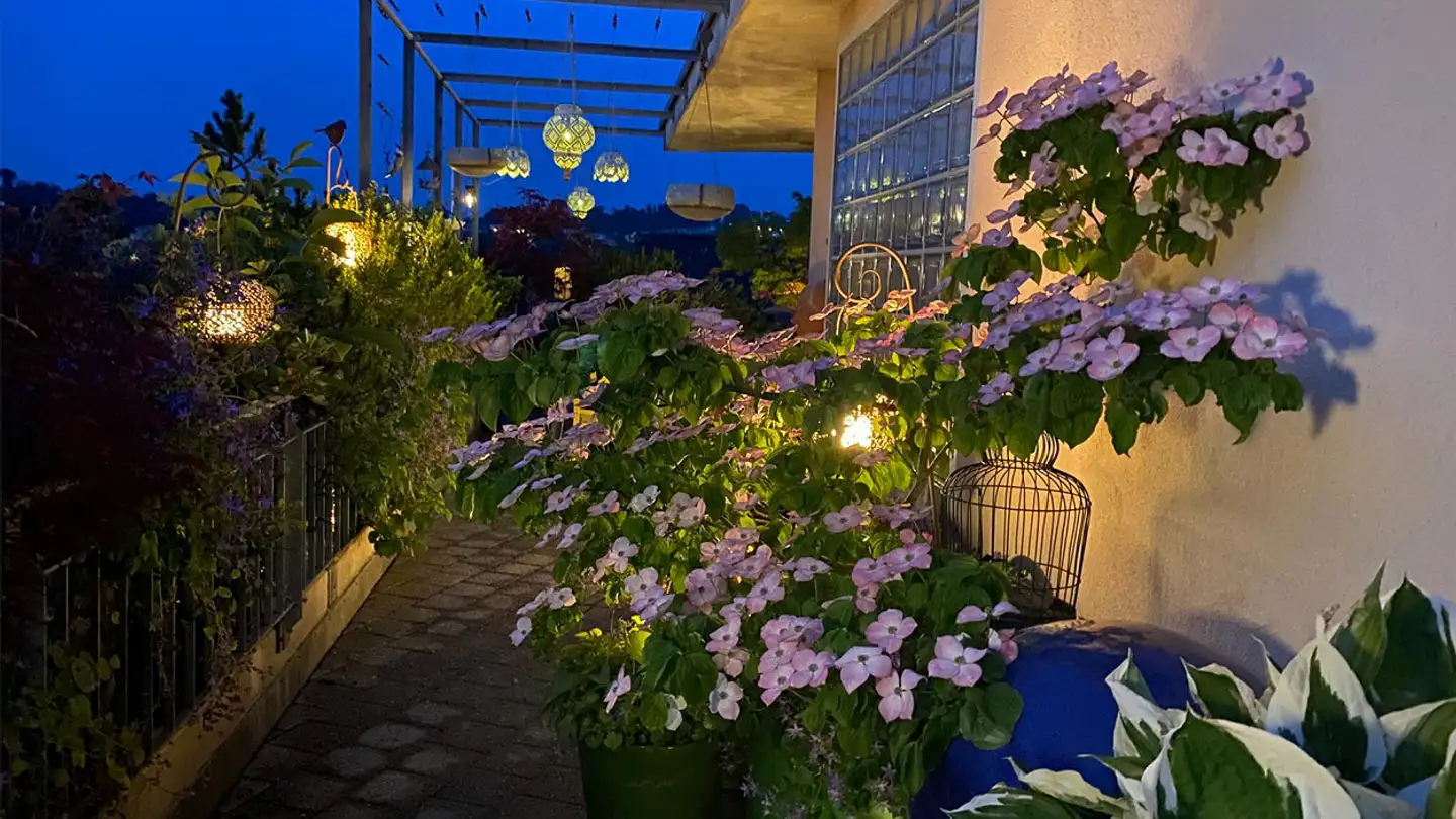 Wohnung kaufen - 8134 Adliswil - Foto 2