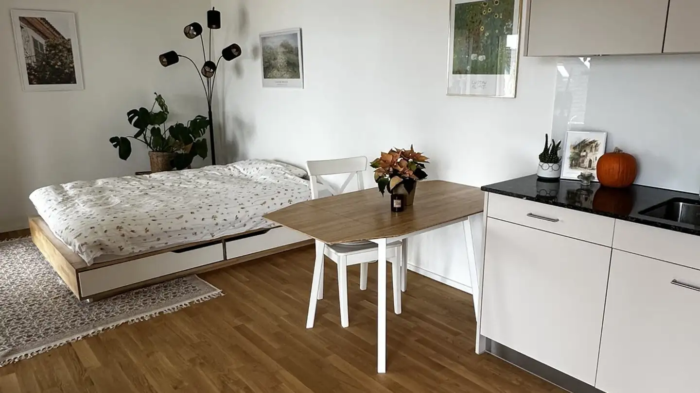 Appartement à louer - 8942 Oberrieden