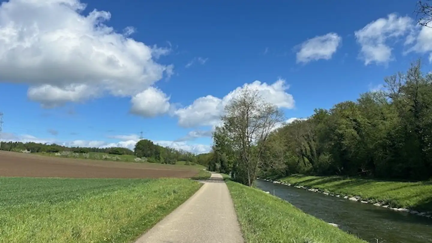 Commerciale in affitto - Herrenwiesen, 8180 Bülach - Photo 4