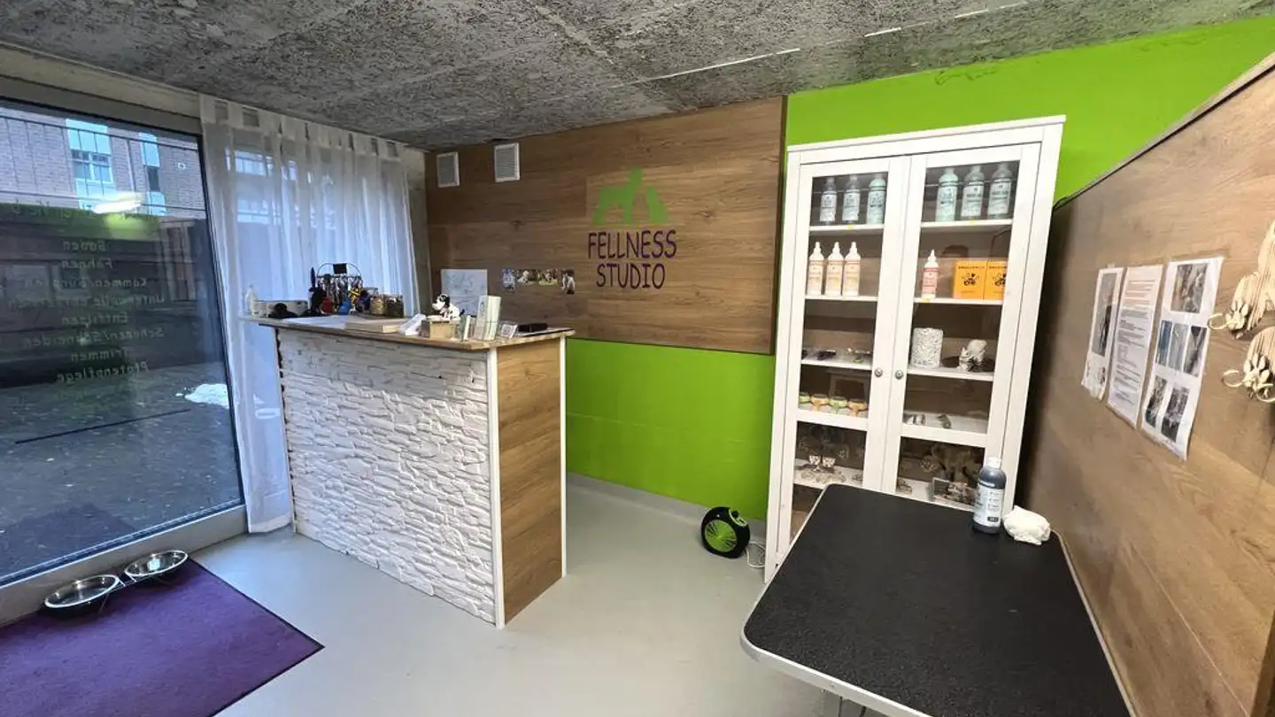 Studio mieten - Wellhauserweg 31, 8500 Frauenfeld - Foto 2