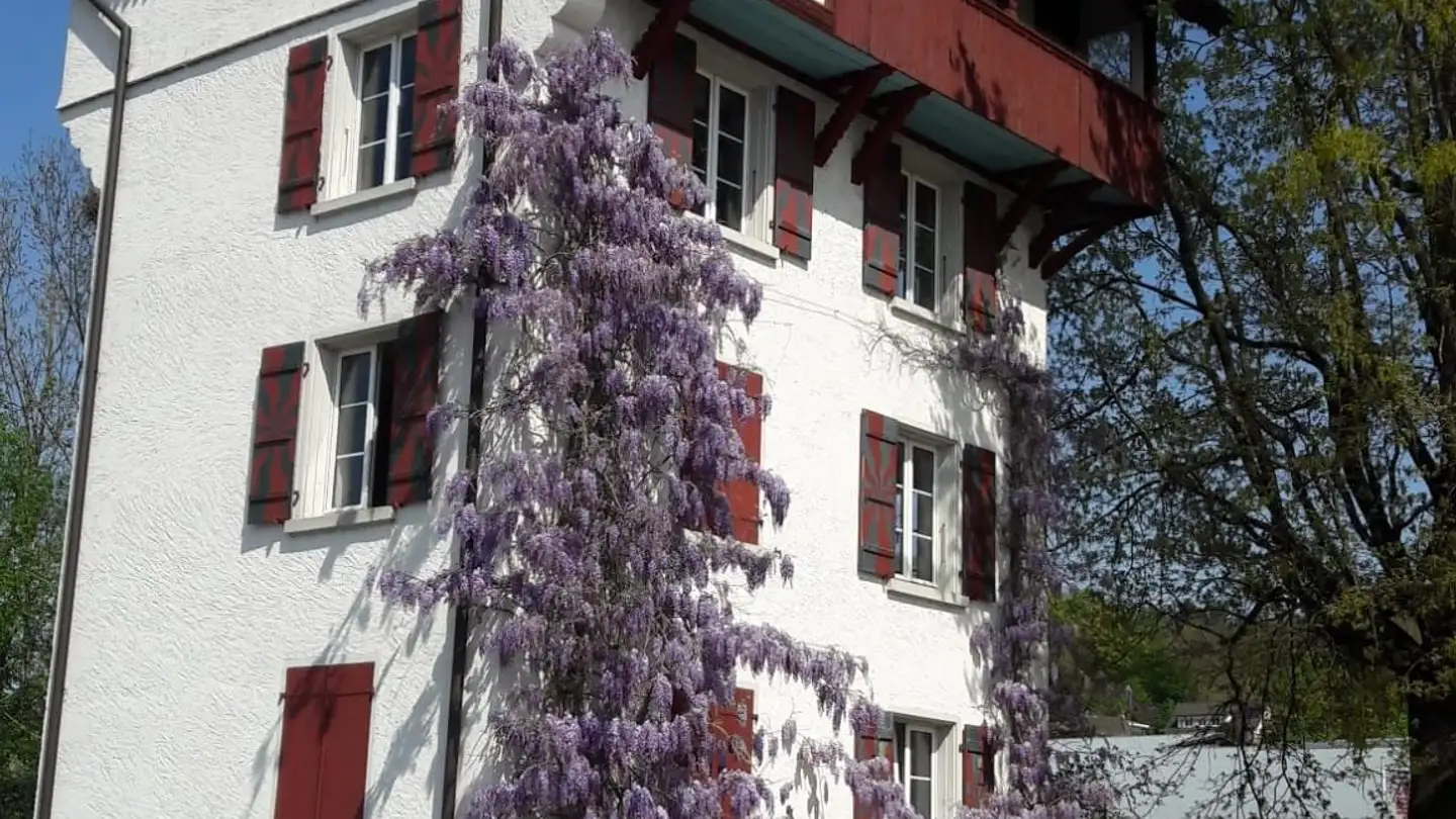 Apartment for rent - 5600 Lenzburg