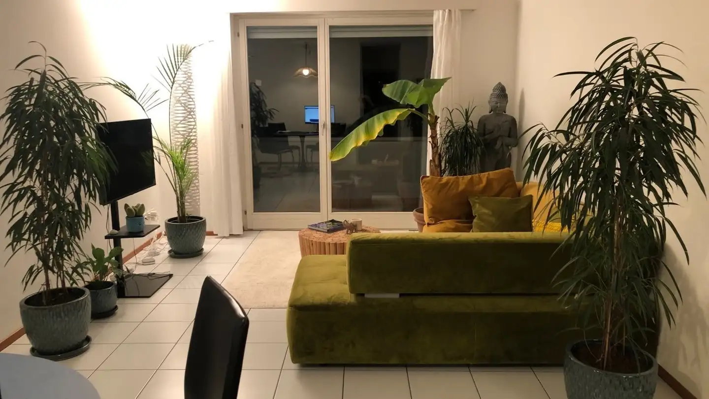 Wohnung mieten - 6575 Vairano