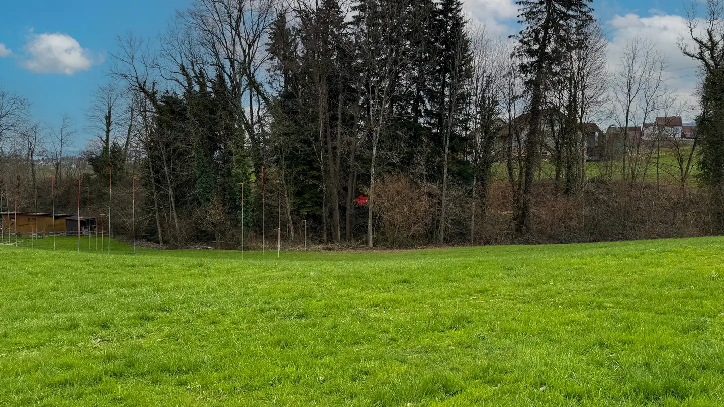 Terreno edificabile in vendita - Landquart, 9305 Berg SG - Photo 2