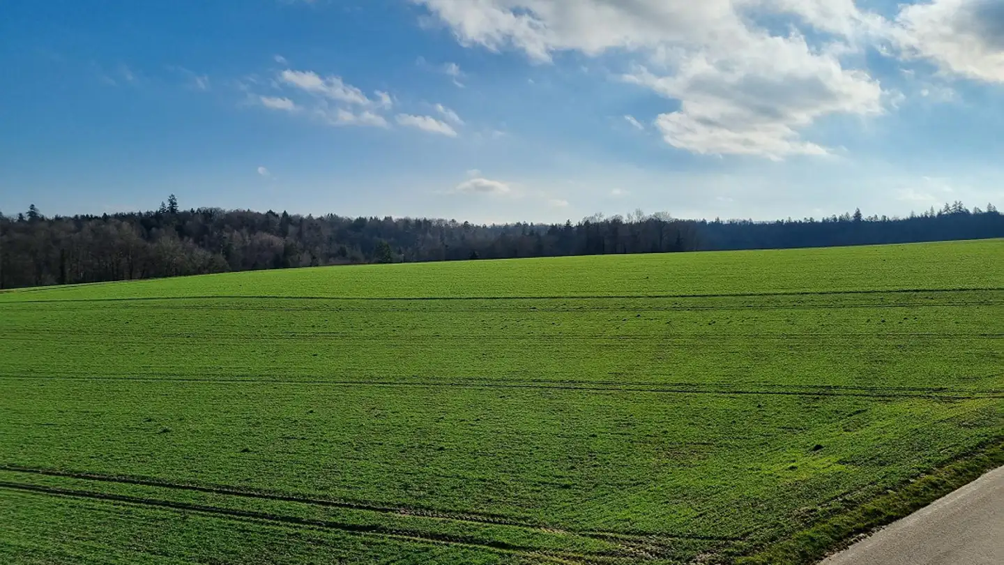 Attique à louer - Bernweg 1, 3254 Messen - Photo 4