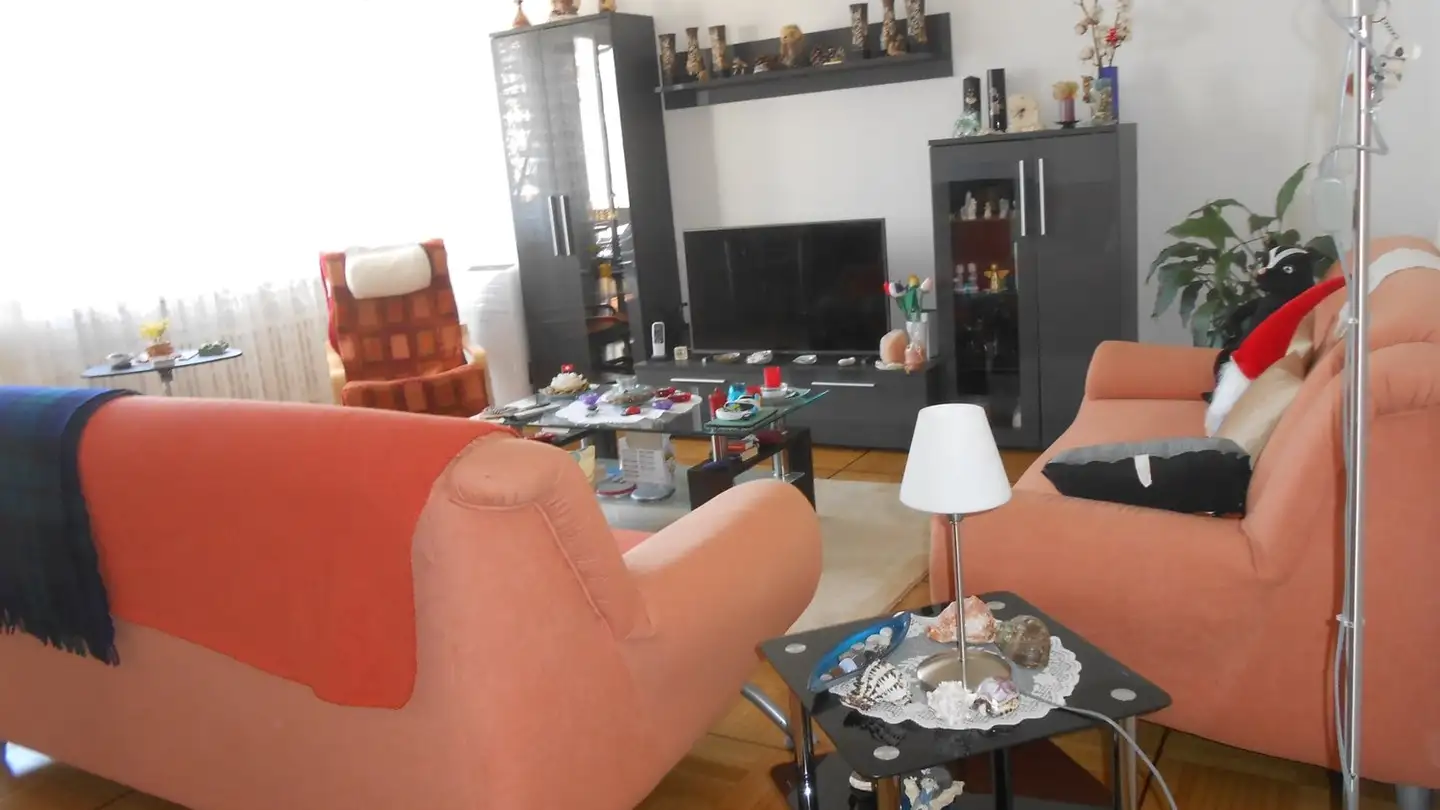 Apartment for rent - Via ai Saleggi 14, 6600 Locarno - Photo 2